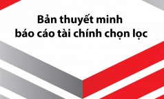 Bản thuyết minh báo cáo tài chính chọn lọc