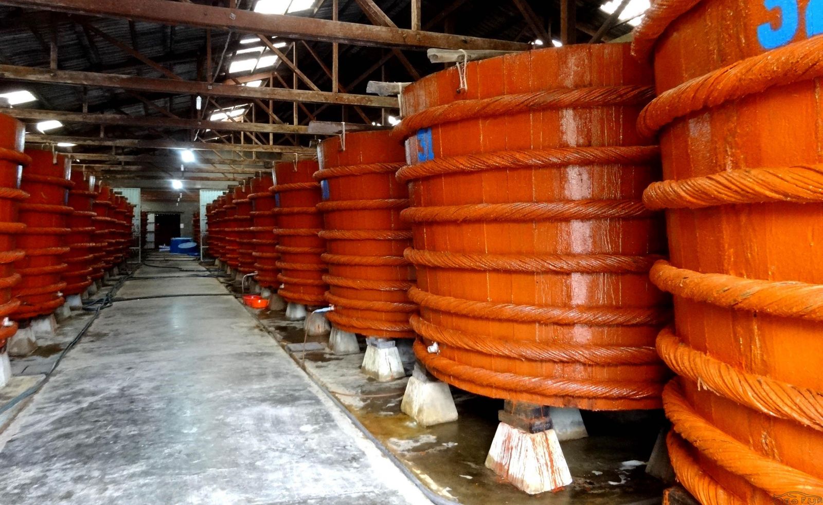 Cơ sở sản xuất nước mắm cần giấy phép gì? Hướng dẫn đầy đủ và chi tiết từ A-Z
