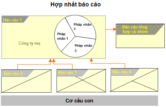 Báo cáo tài chính hợp nhất là gì, sử dụng cho doanh nghiệp nào